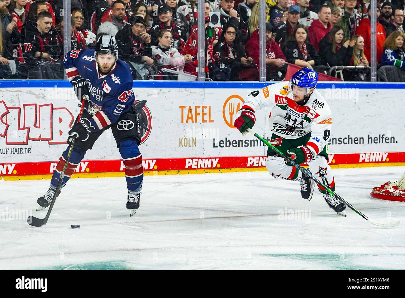 Germania. 5 gennaio 2025. Eishockey Penny-DEL 34.Spieltag Koelner Haie - Augsburger Panther am 05.01.2025 in der Lanxess Arena a Koeln veli-Matti Vittasmaeki ( Koeln ), links - Justin Volek ( Augusta ), rechts Gemaess den Vorgaben der DEL Deutsche Eishockey Liga ist die Publikation und Weiterverwertung der Aufnahmen in Mediahrnahmen in Spiehrtronischen en en en Spielen en en en en en en en en en en. Foto: Revierfoto credito: ddp media GmbH/Alamy Live News Foto Stock