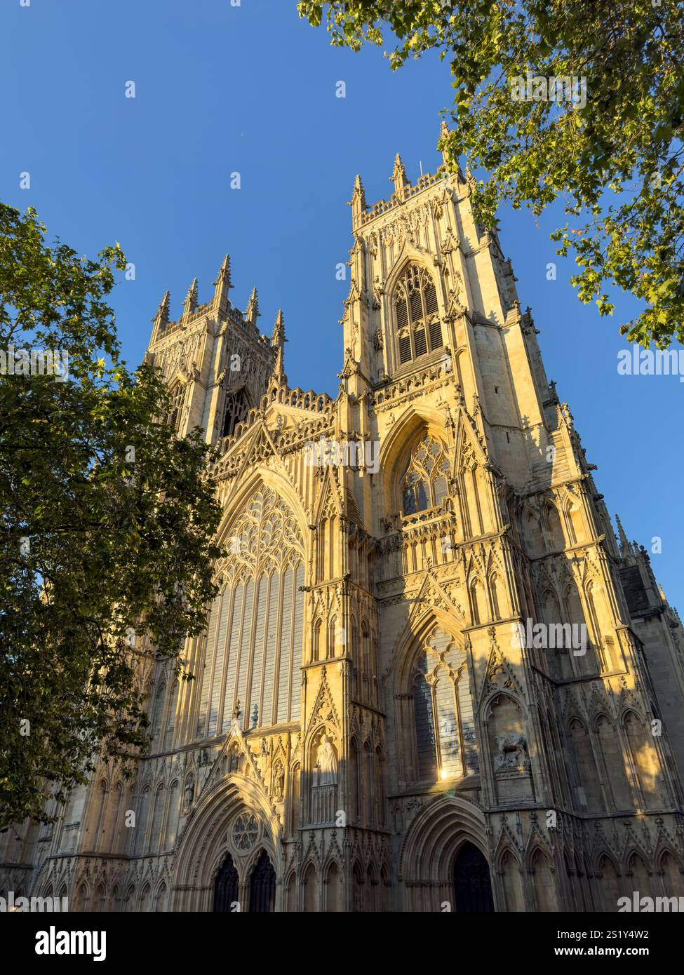 York Minster alla luce della sera, North Yorkshire, Inghilterra Foto Stock