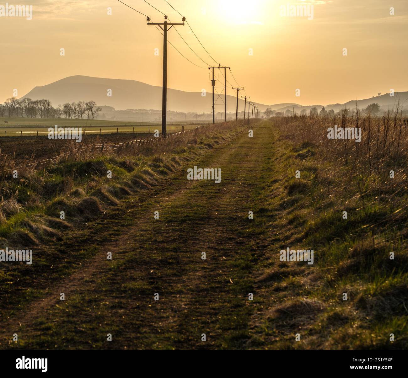 Un sentiero rurale con pali telegrafici che conducono in lontananza durante Un bel tramonto Foto Stock