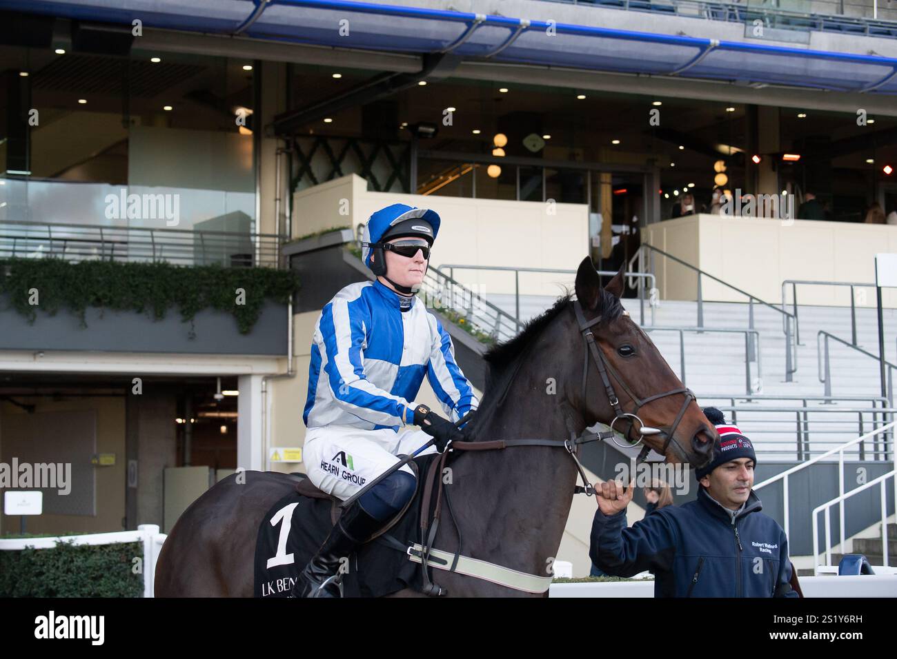 Ascot, Berkshire, Regno Unito. 22 novembre 2024. AURIGNY MILL guidato da Harry Kimber si dirige in pista prima di correre nella LK Bennett Autumn Collection handicap hurdle Race Class 3 al Copybet November Friday Raceday all'Ascot Racecourse nel Berkshire. Crediti: Maureen McLean/Alamy Foto Stock