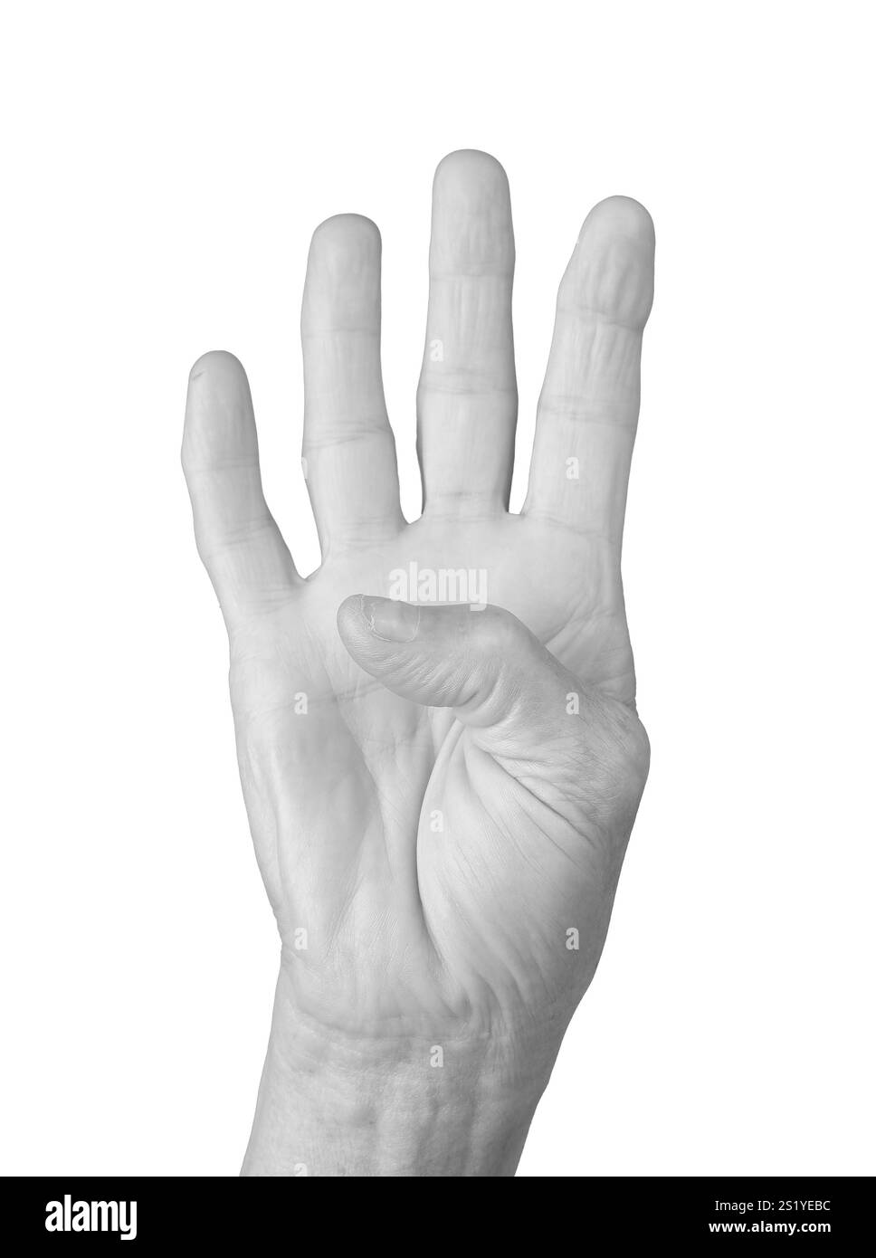 Gesto con quattro dita. La mano ruvida della donna anziana sollevata con quattro dita allungate, incluso il pinky, che simboleggia il numero quattro. Aprire il palmo in una Foto Stock