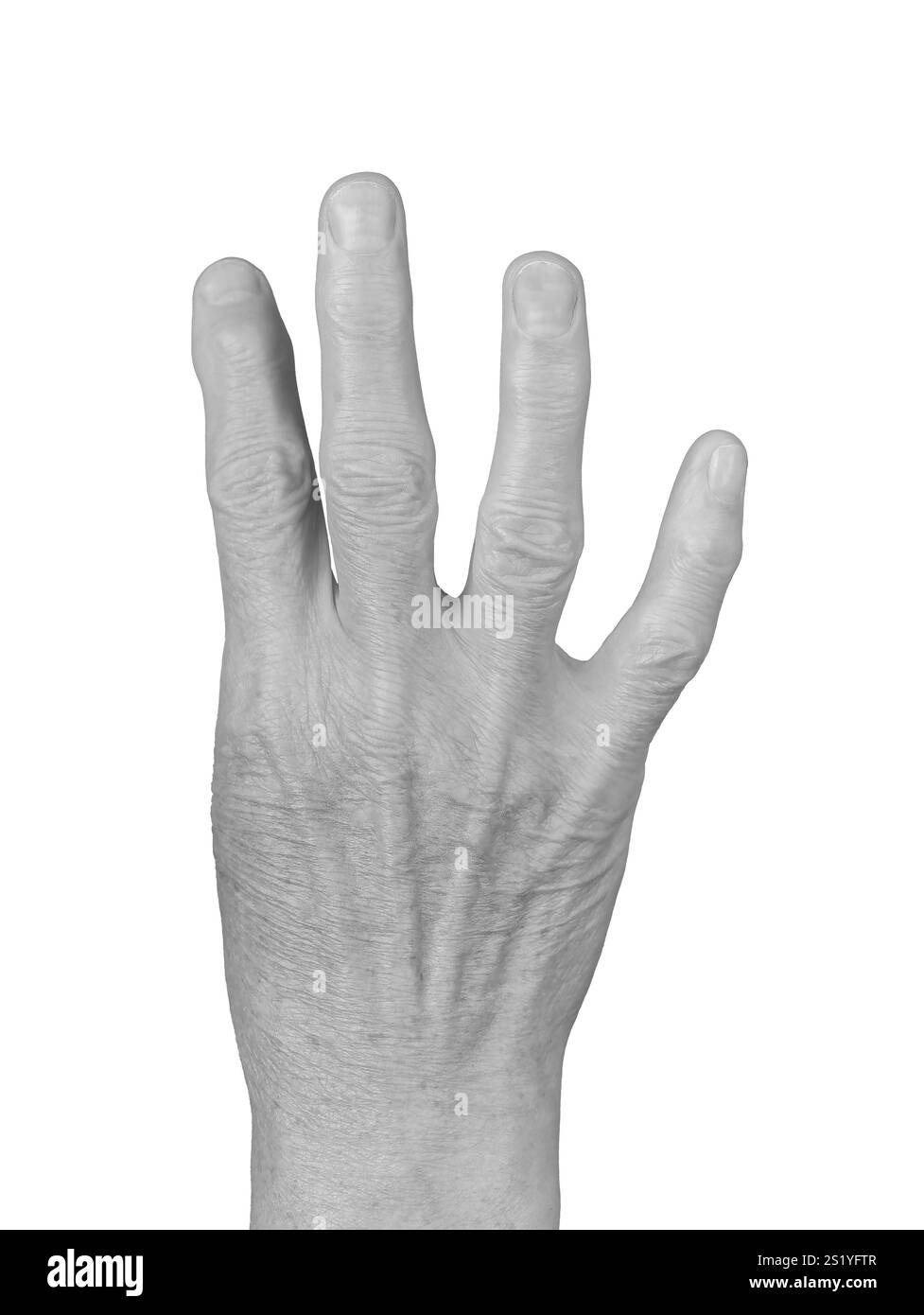 Gesto con quattro dita. La mano ruvida della donna anziana con quattro dita sollevate, simboleggiando il numero quattro. Vista laterale con palmo aperto e segni visibili di Foto Stock