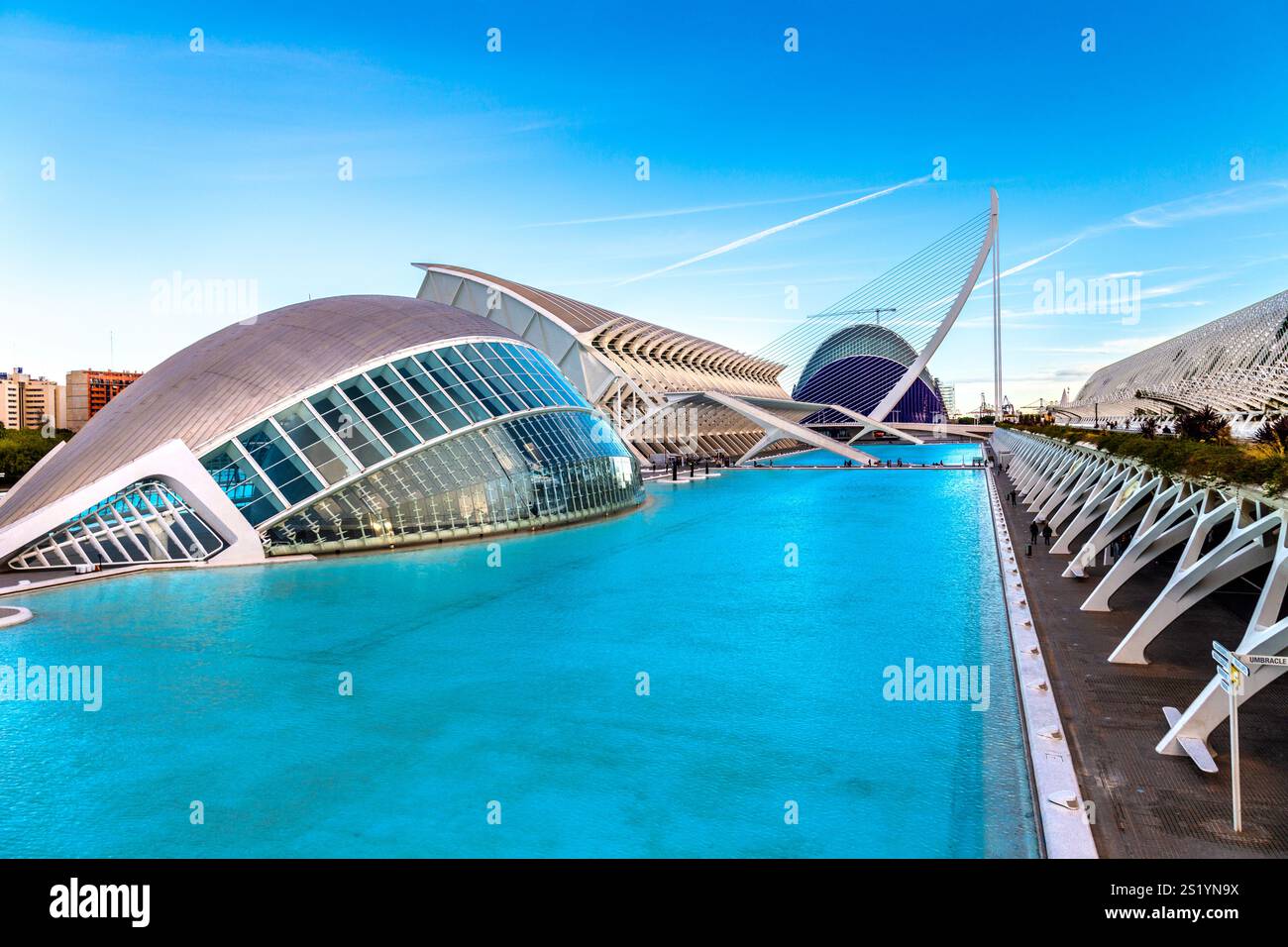 Edifici futuristici della città delle Arti e delle Scienze, Valencia, Spagna Foto Stock