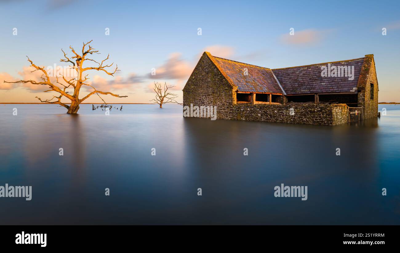 Un fienile e alberi a Porlock Marsh nel Parco Nazionale di Exmoor, Somerset, inondato di acqua di mare durante una marea primaverile. Foto Stock