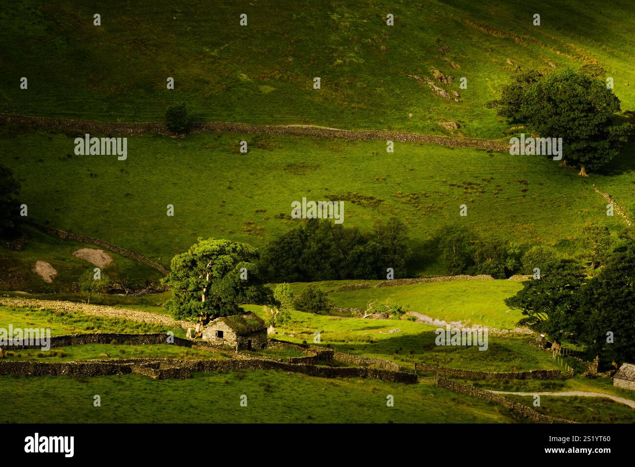Hartsop Barn - un vecchio fienile in pietra su terreni agricoli ad Hartsop, nel Lake District, nelle prime ore di una mattina di mezza estate. Foto Stock