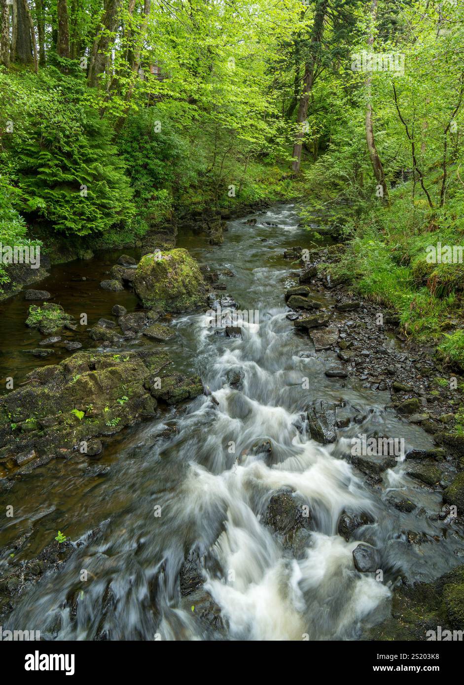 Ruscello che scorre velocemente attraverso la valle verde del bosco a Kilmarie, Strath, Isola di Skye, Scozia, Regno Unito Foto Stock