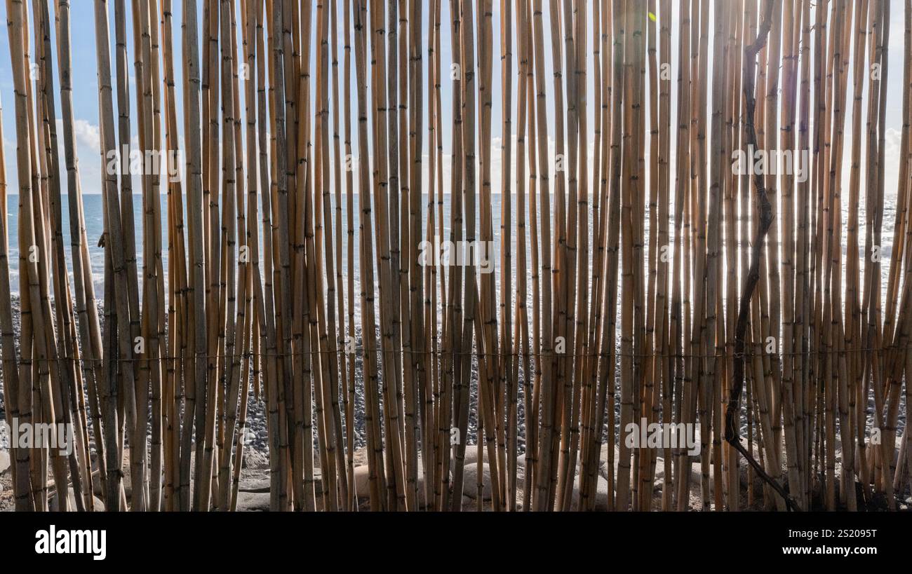 Primo piano di una recinzione di bambù con la luce del sole che filtra, rivelando uno sguardo sul mare e sul cielo sullo sfondo. Foto Stock