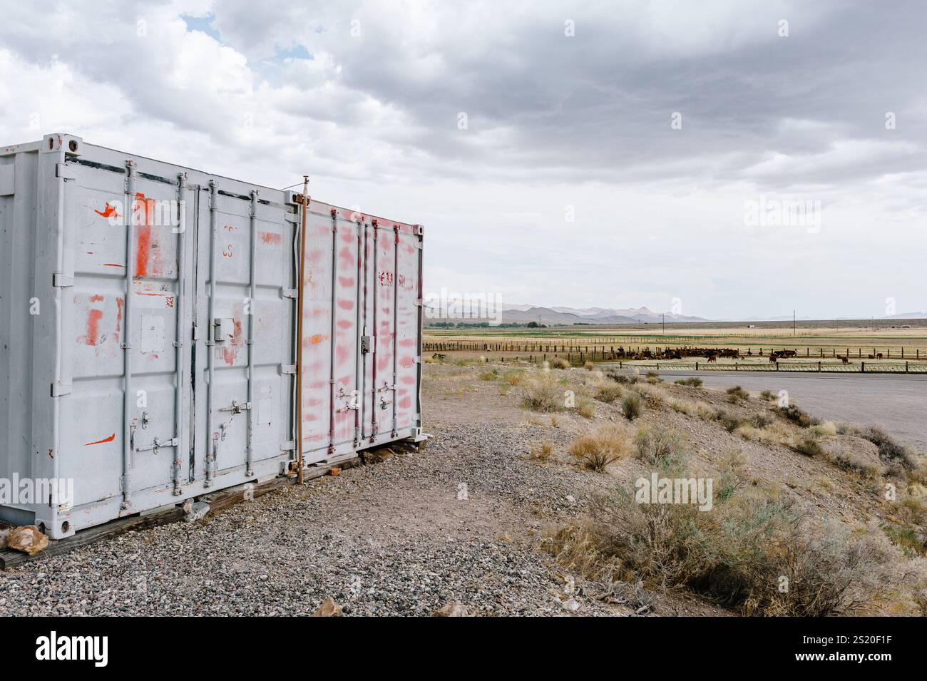 Hiko, Nevada / Stati Uniti - 24 luglio 2019: Esterno del container per spedizioni dell'Alien Research Center al largo della Extraterrestrial Highway vicino all'area 51 Foto Stock