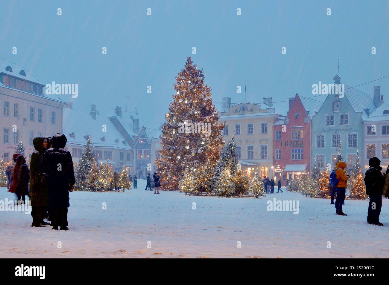 La neve cade intorno agli alberi di Natale luminosi nella Piazza del Municipio di Tallinn. Si dice che sia stato il sito del primo albero di Natale al mondo nel 1441 Foto Stock