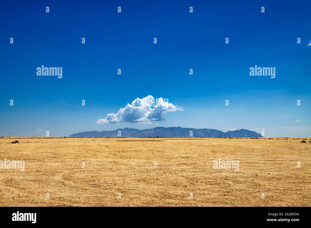 Vista da sud sul deserto del Namib verso Brandberg, la regione di Erongo, Namibia Foto Stock