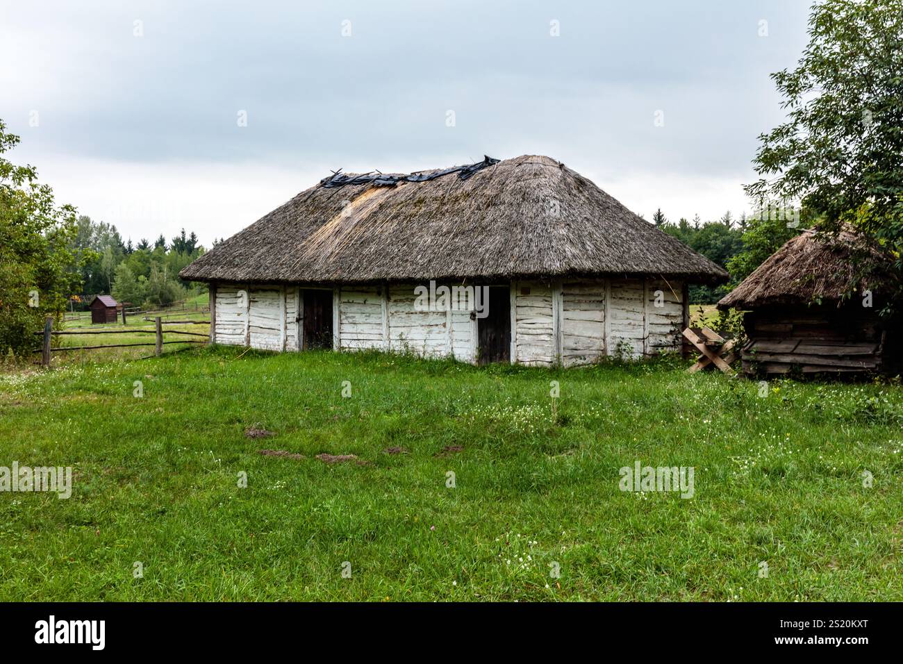 Una piccola e vecchia casa con un tetto di paglia si trova in un campo erboso. La casa è circondata da una recinzione e da un piccolo capannone. La scena è tranquilla e silenziosa Foto Stock