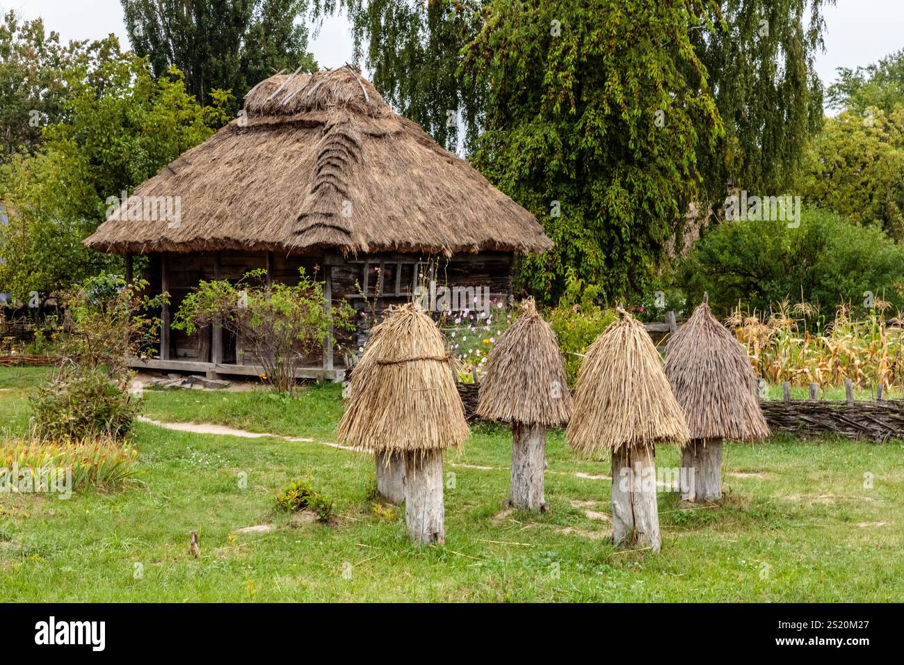 Una piccola casa con un tetto di paglia si trova in un campo. Ci sono quattro grandi strutture simili a funghi in primo piano, e alcune più piccole nel bac Foto Stock