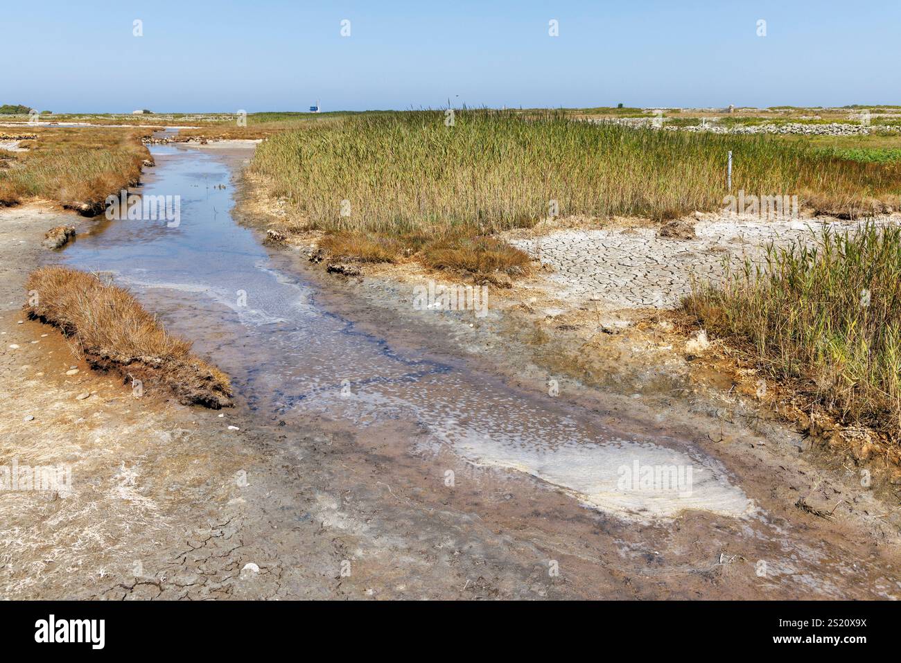Insenature marine a paludi salate, Goury, Normandia, Francia Foto Stock