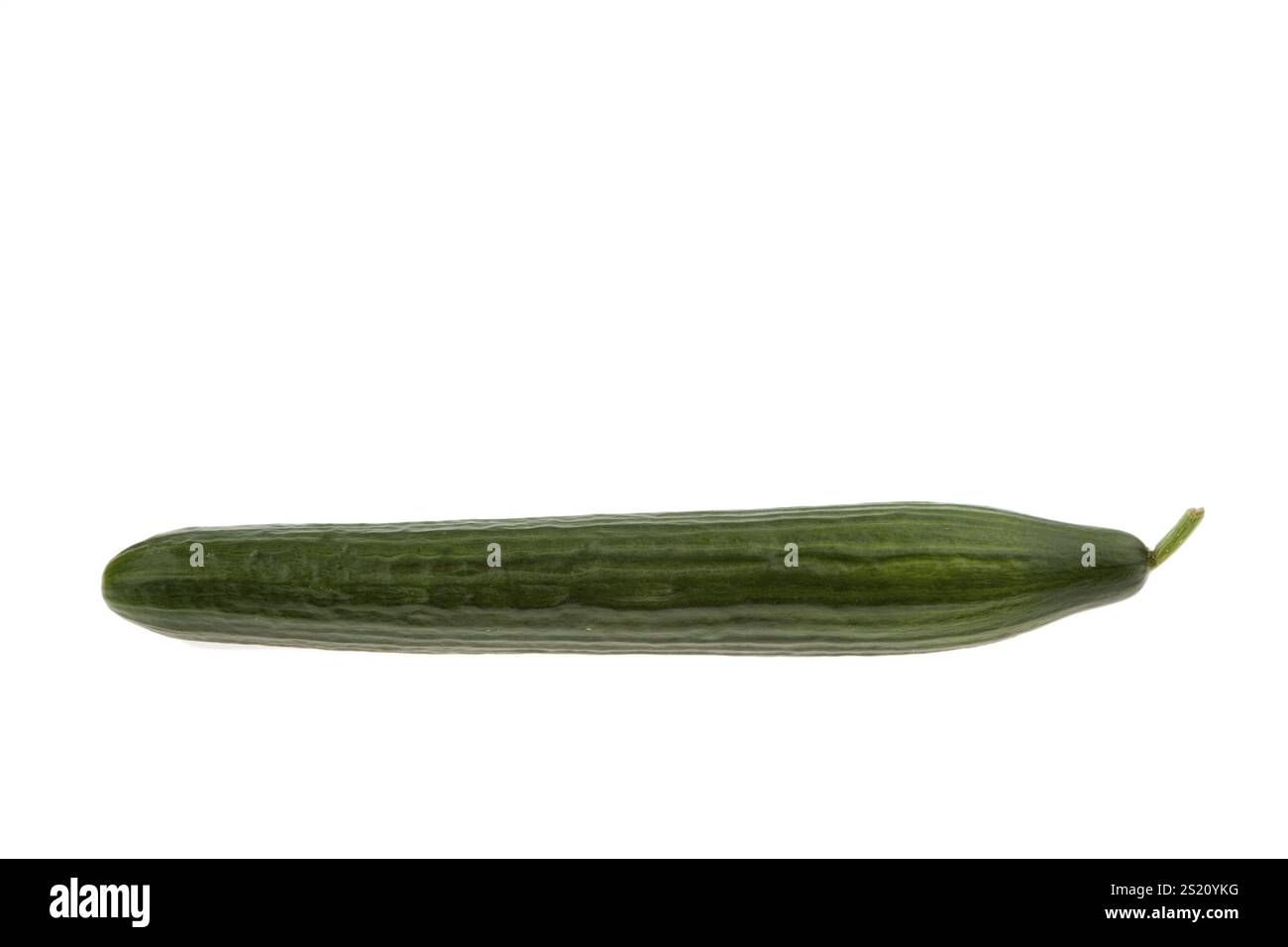 Un cetriolo giace su uno sfondo bianco Austria Foto Stock