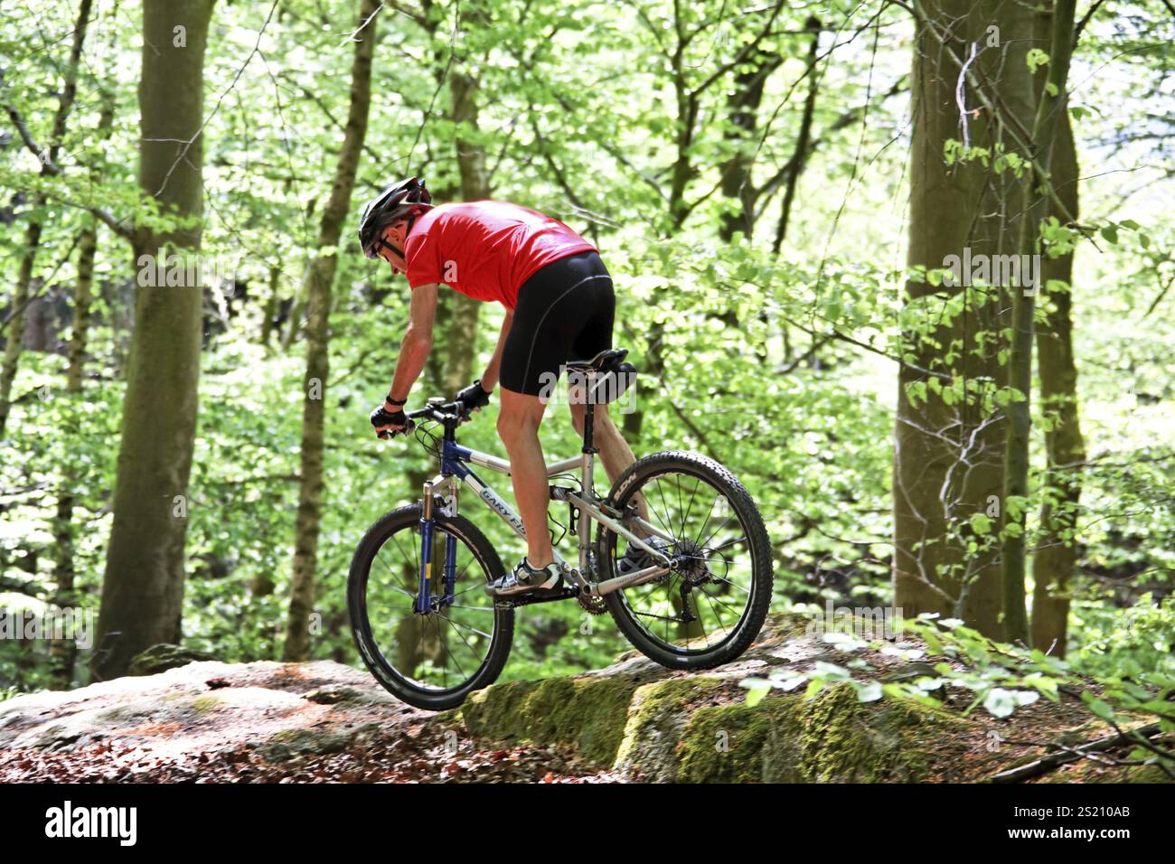 Sportivo senior con mountain bike nella foresta austriaca Foto Stock