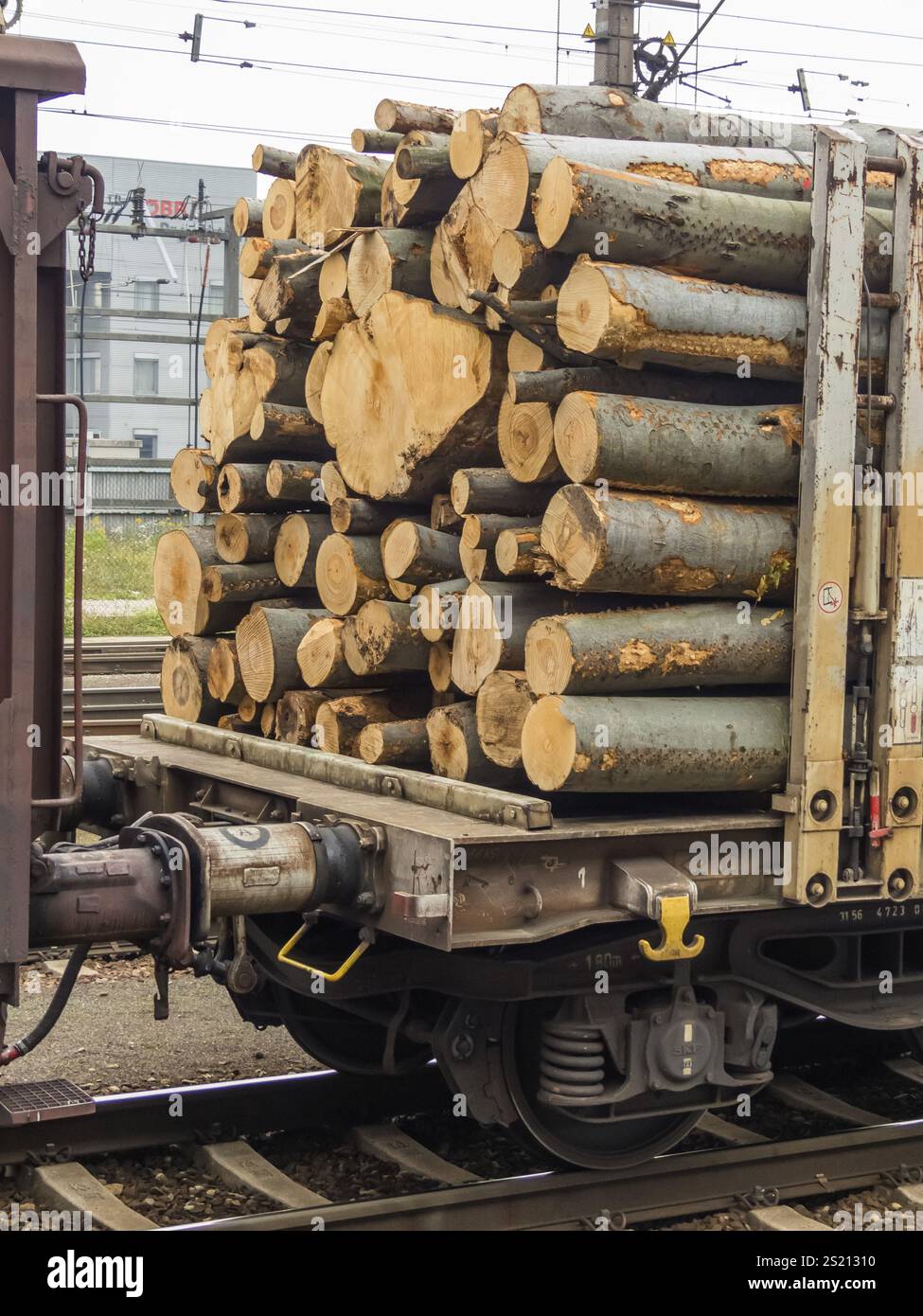 Carro della ferrovia carico di legno. Treno merci. Trasporto di merci sulla ferrovia Austria Foto Stock