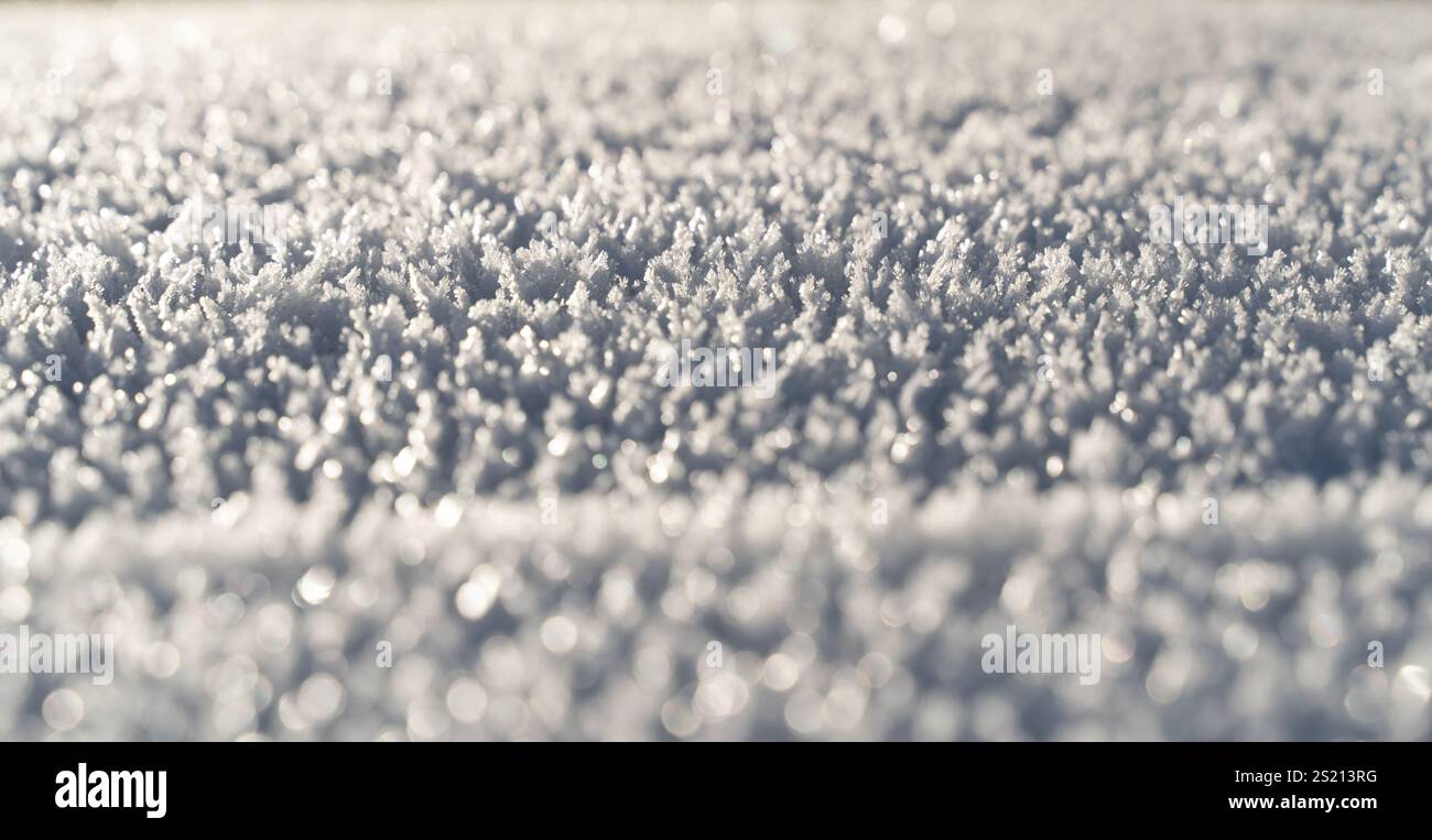 Vista macro di intricati cristalli di neve che brillano alla luce del sole, mostrando nei dettagli motivi naturali del gelo e texture invernali. Foto Stock