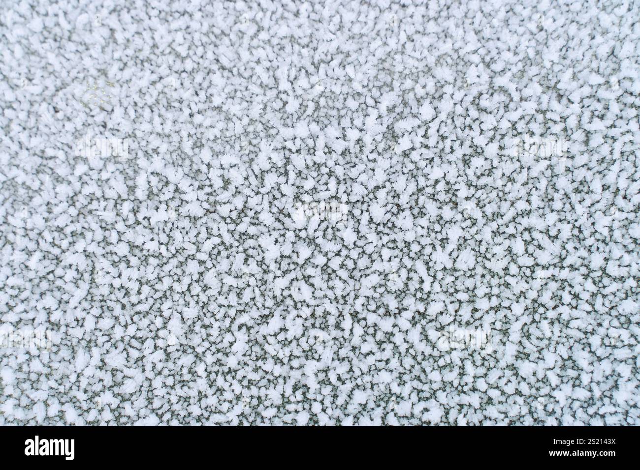 Vista macro di intricati cristalli di neve che brillano alla luce del sole, mostrando nei dettagli motivi naturali del gelo e texture invernali. Foto Stock