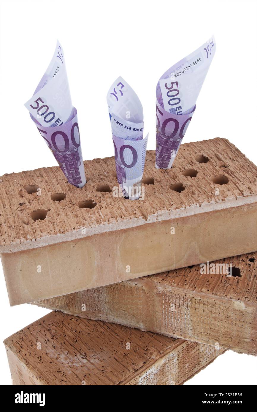 Foto di Symbol costruzione di case, finanziamenti, risparmio di società edile. Mattoni ed euro Austria Foto Stock