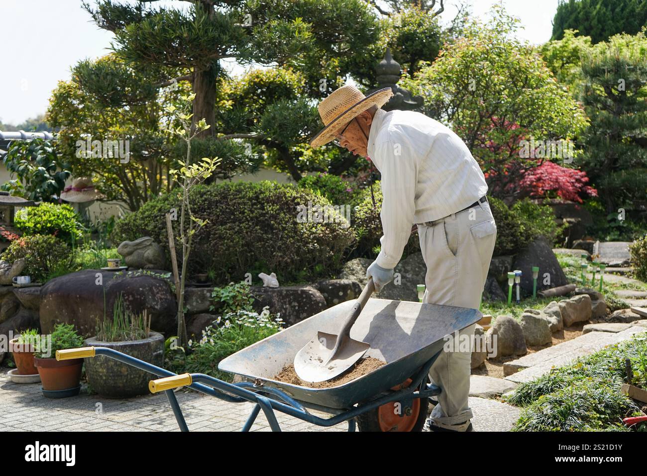 Uomo anziano giardinaggio Foto Stock