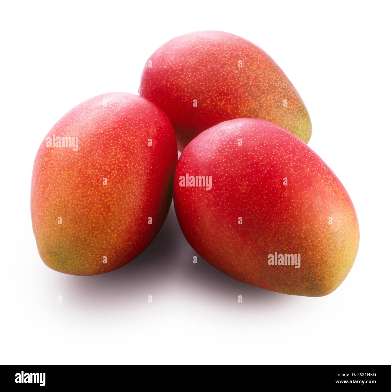Mango completamente maturo Foto Stock Mango completamente maturo Foto Stock
