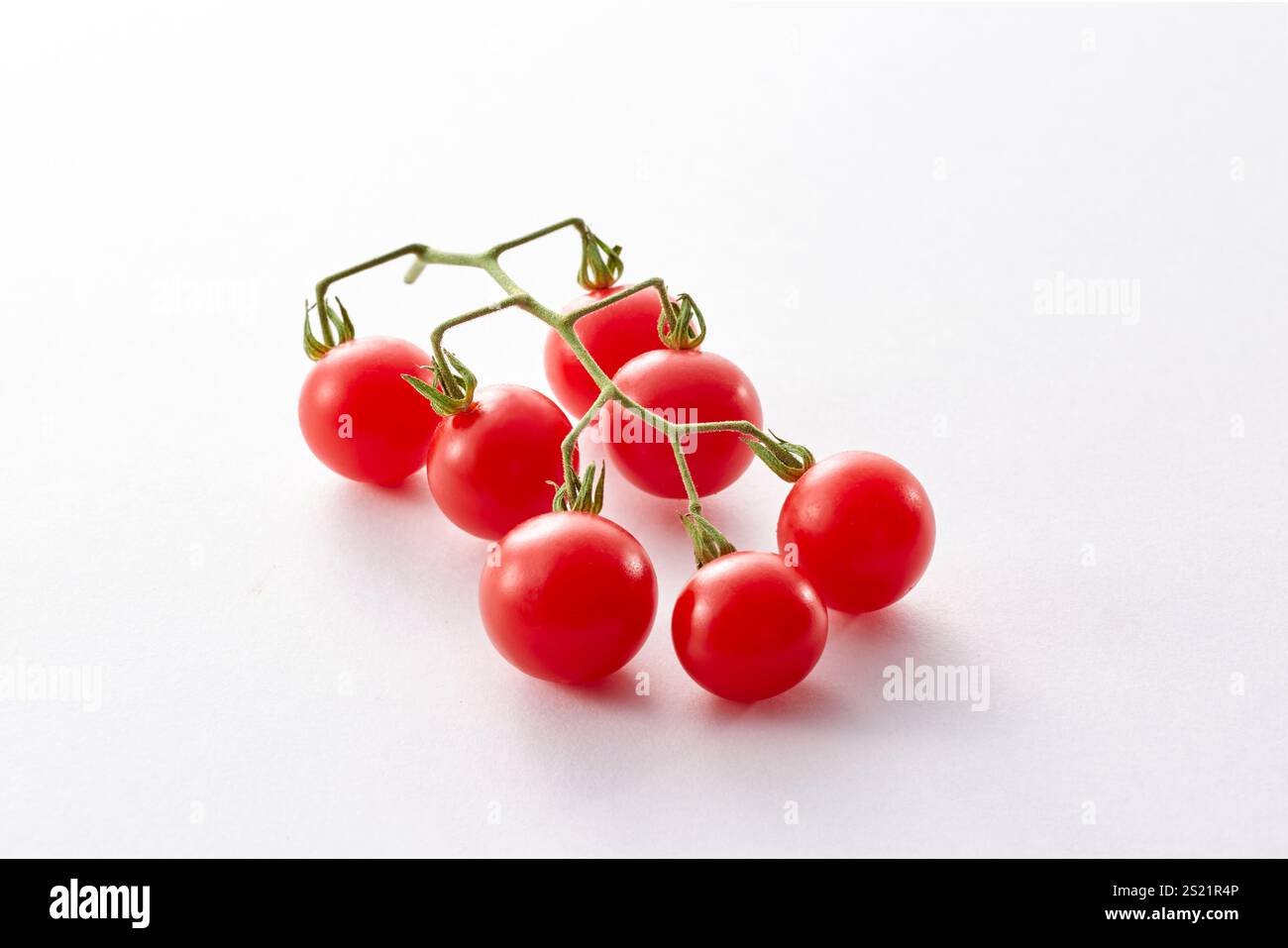 Micro-pomodoro Foto Stock