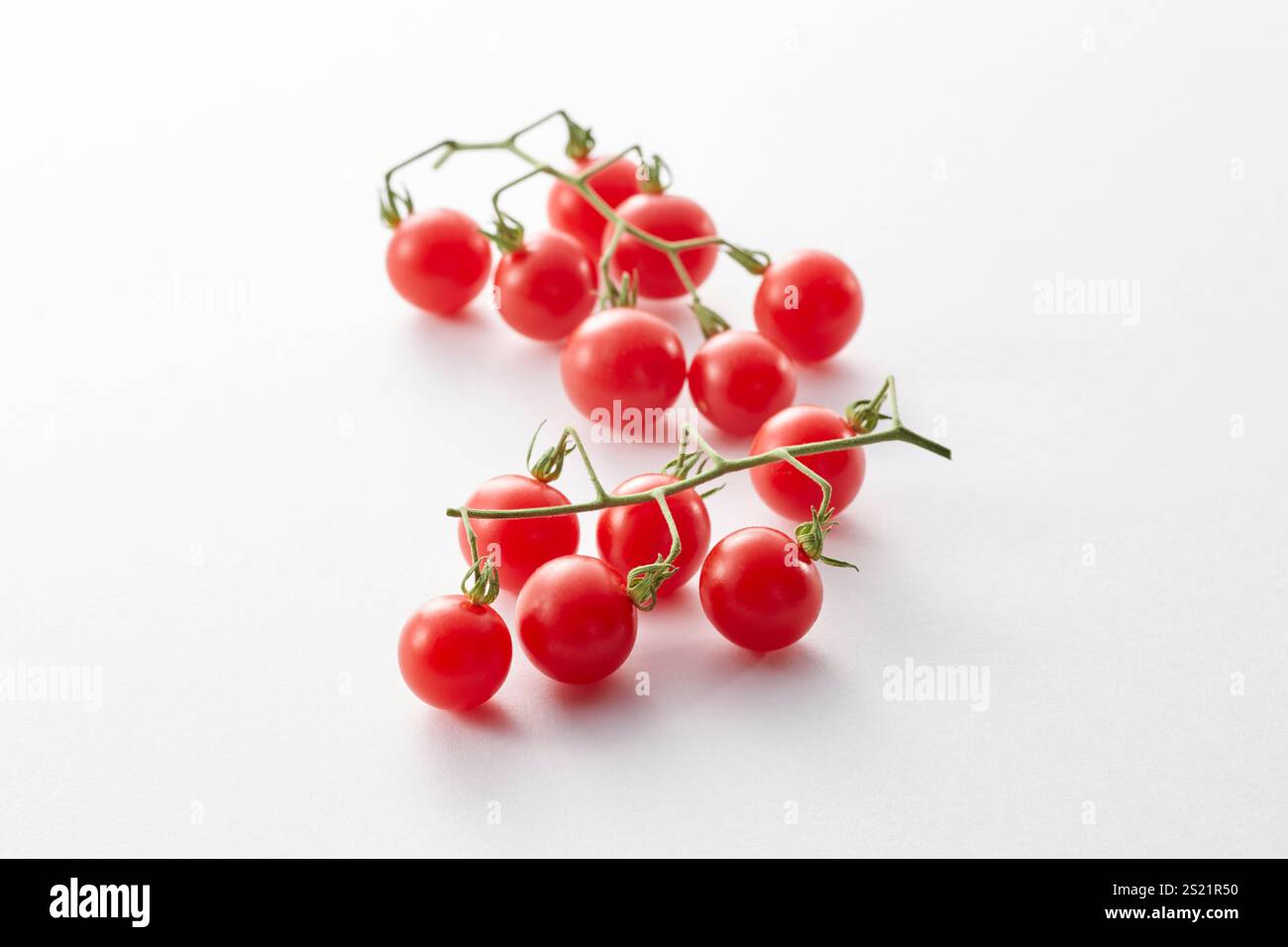Micro-pomodoro Foto Stock