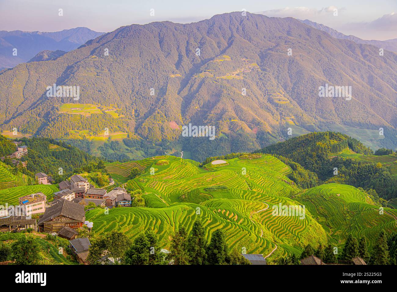 Sette stelle accompagnano la Luna, parte della dorsale del Drago, o Longji Rice Terraces, situata vicino al villaggio di Ping'an nel northe Foto Stock