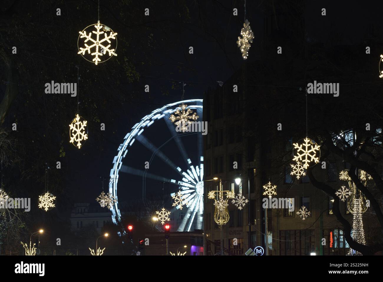 Decorazioni natalizie lampadine ghirlande su una fila di alberi, via Andrassy, Budapest, Ungheria Foto Stock