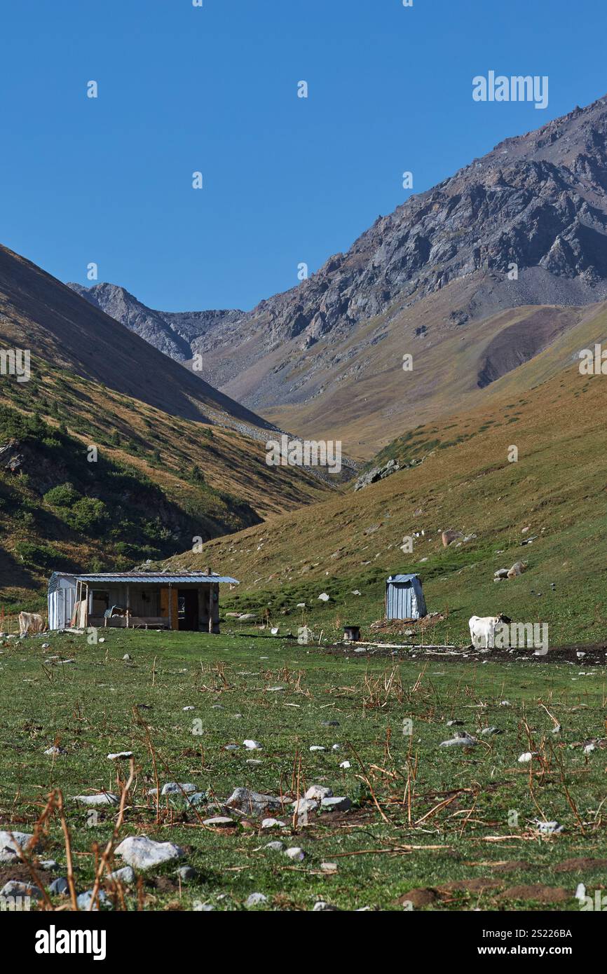 Casa di pastori in un luogo pittoresco. Paesaggio montano, colline con erba gialla e verde. Pascolo locale per pascolo libero. Cielo blu chiaro. Calv Foto Stock