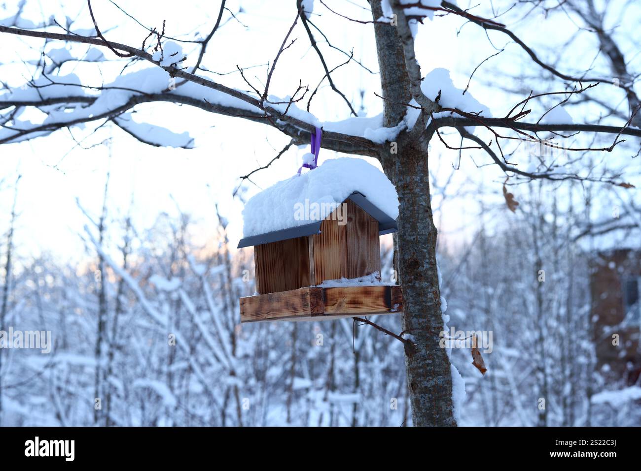 Una splendida e affascinante casa per uccelli innevata immersa in un paesaggio invernale della natura Foto Stock