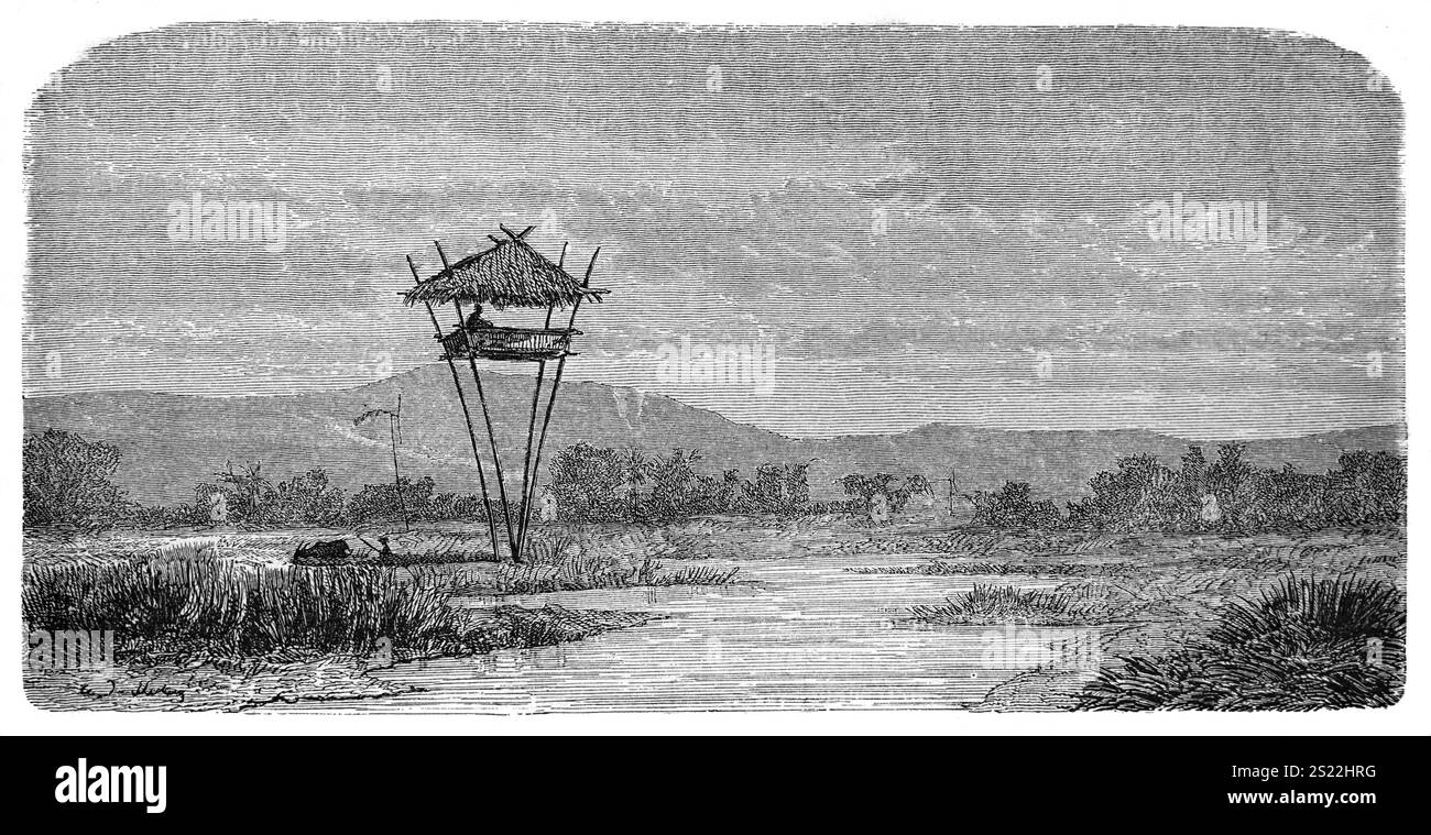 Guardie nella torre di guardia agricola che proteggono o sorvegliano le risaie, i campi di risaia o i raccolti di riso a Giava, Indonesia. Incisione vintage o storica o illustrazione 1864 Foto Stock