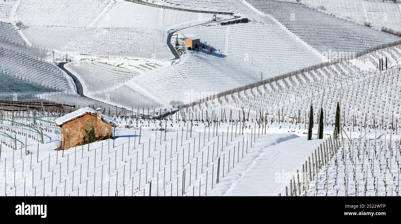 Panorama invernale della piccola casa rurale sulla collina innevata tra i vigneti vicino a Barolo in Piemonte. Foto Stock