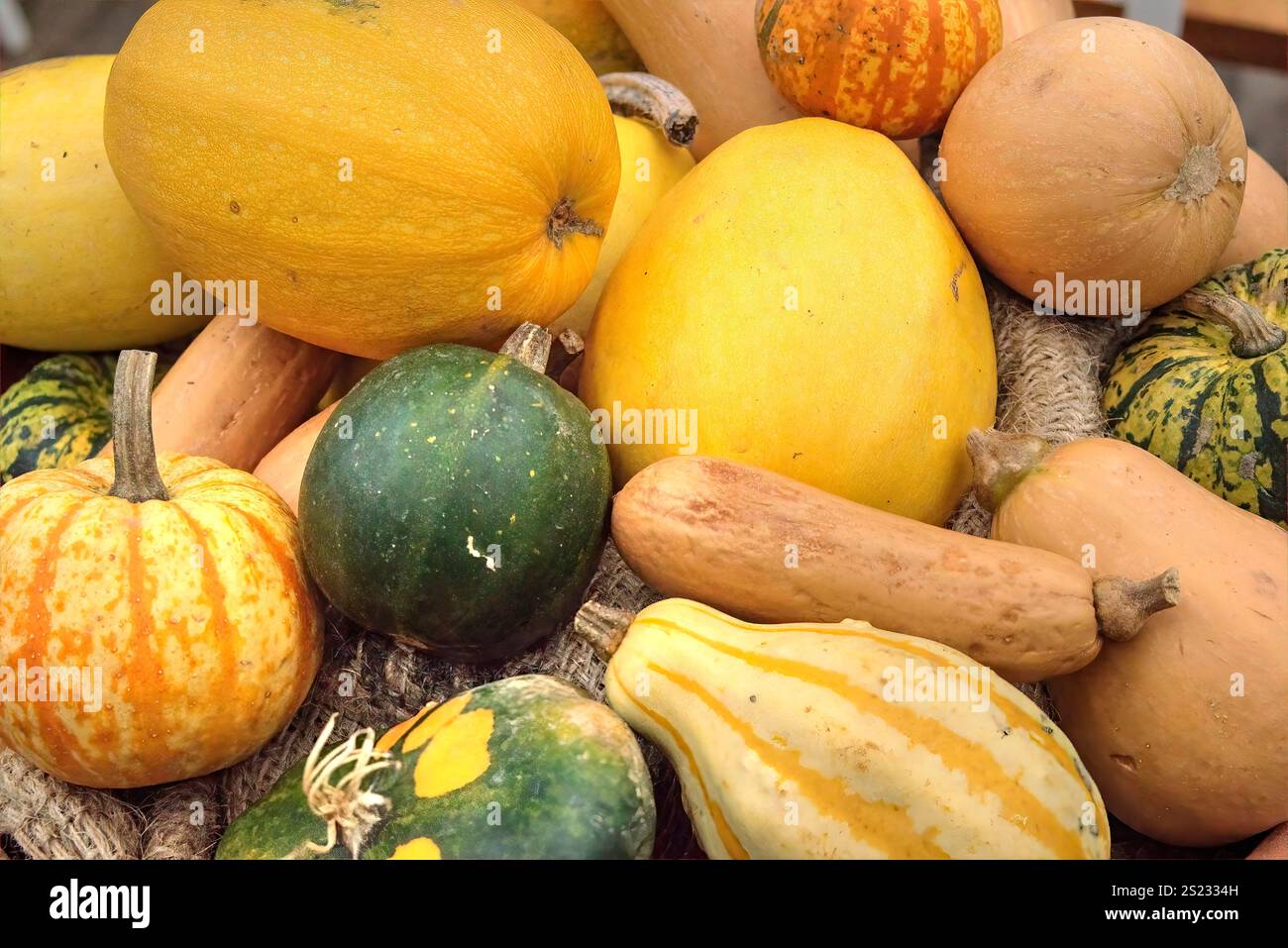 Cornovaglia, Regno Unito - 26 ottobre 2021: Selezione di buongustai gialli, arancioni, verdi e marroni su un panno assiano Foto Stock