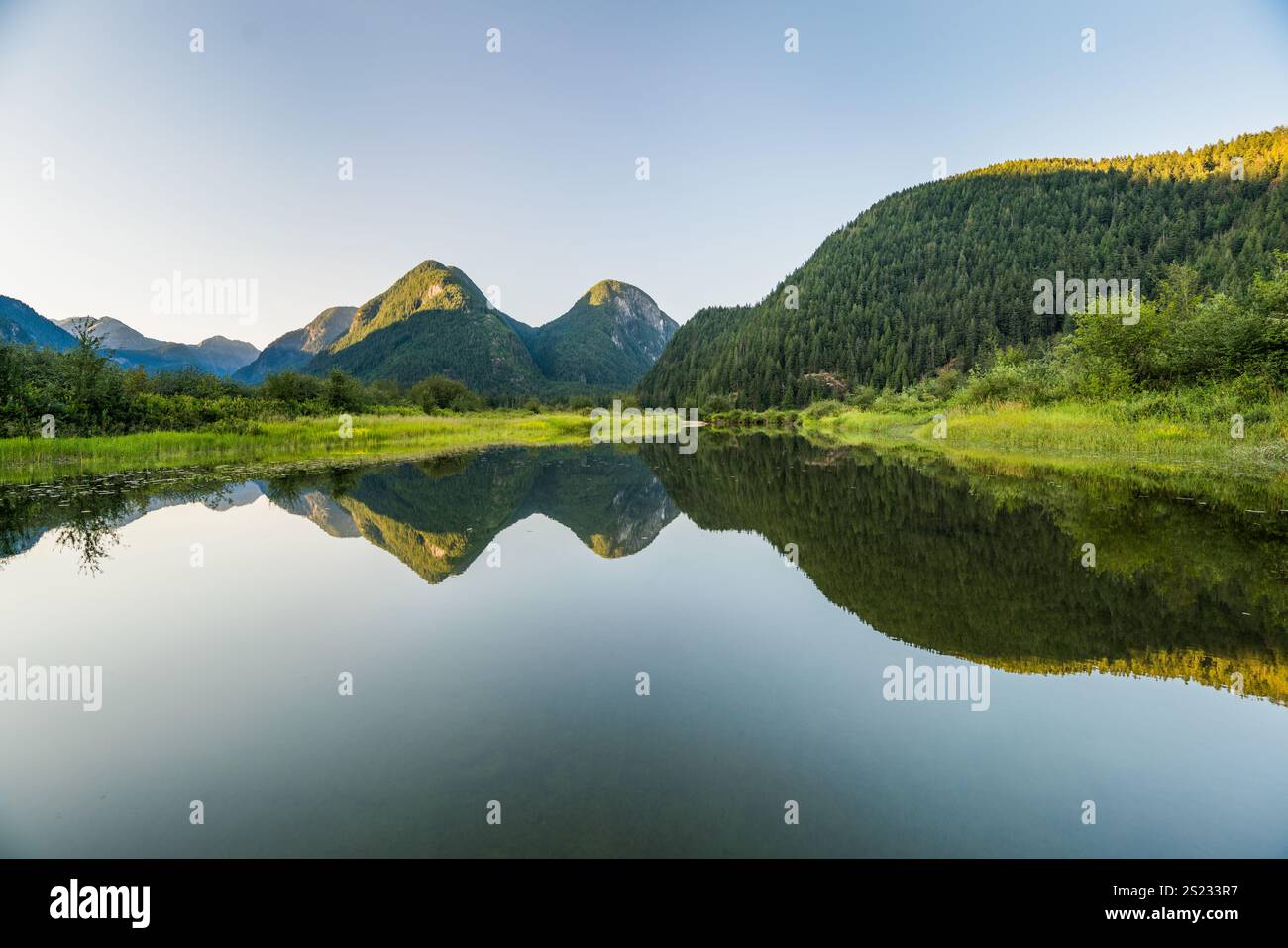 Widgeon Marsh, Widgeon Valley National Wildlife area, B.C., Canada Foto Stock