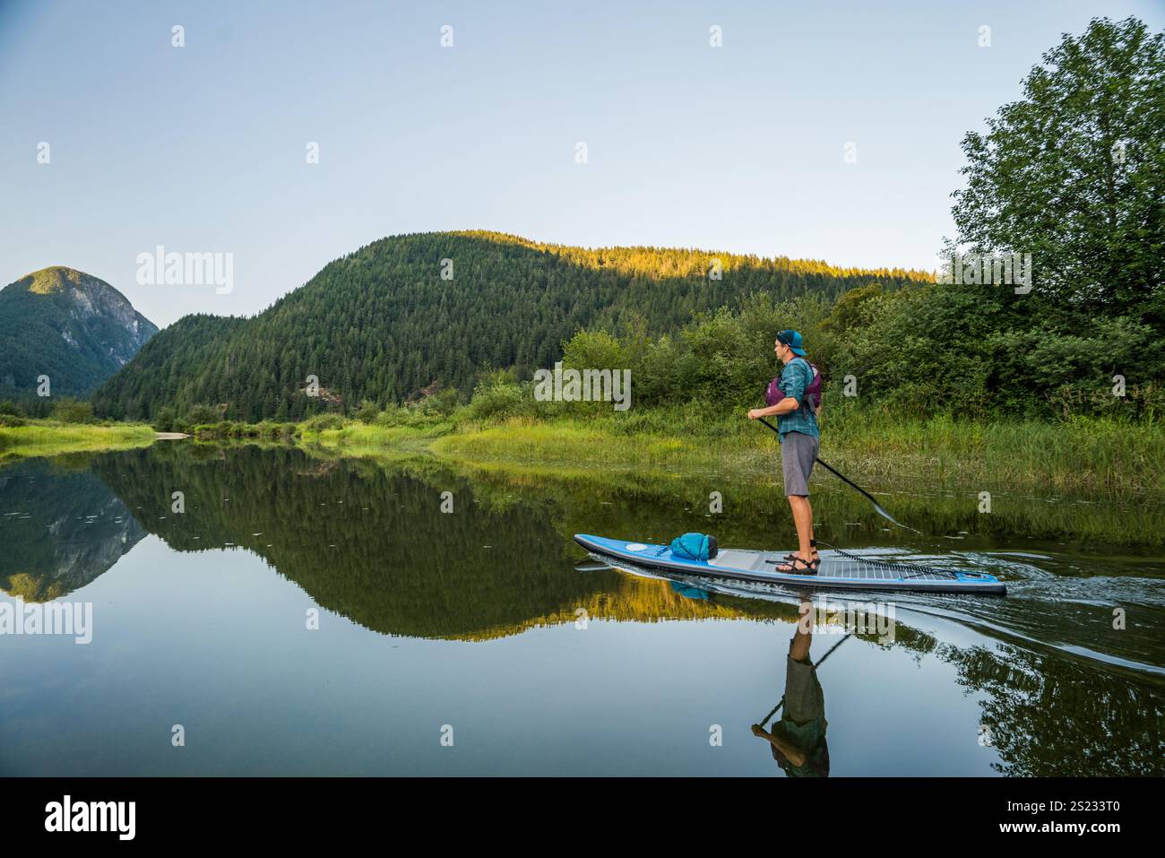 Vista laterale dell'uomo che pagaia su un SUP a Widgeon Marsh., Pitt Meadows. Foto Stock