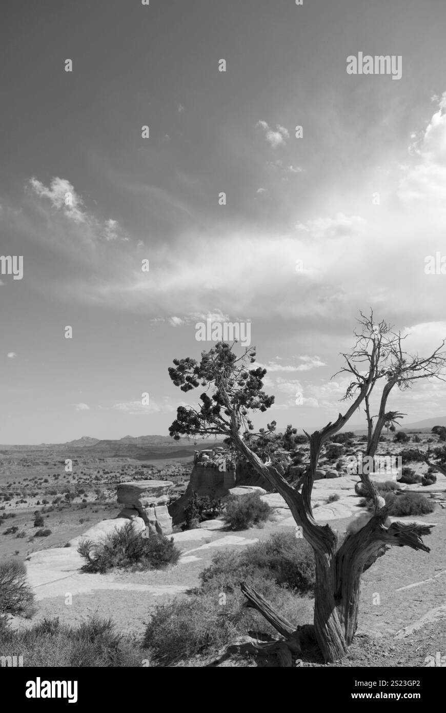 Vista panoramica dell'aspra ondeggiante San Rafael nello Utah, USA, con spettacolari paesaggi desertici e formazioni geologiche uniche. Foto Stock