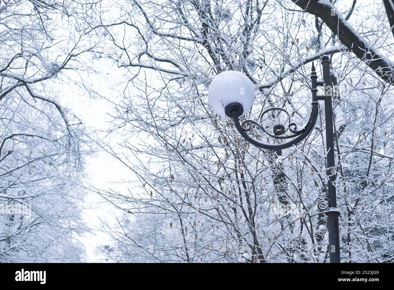 splendido lampione d'epoca circondato da rami di alberi ghiacciati in un tranquillo parco invernale. Il paesaggio innevato crea un ambiente tranquillo e magico Foto Stock