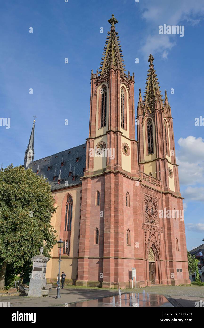 Rheingauer Dom, katholische Pfarrkirche Heilig Kreuz, Bischof-Blum-Platz, Geisenheim, Assia, Germania *** Cattedrale di Rheingau, Chiesa parrocchiale cattolica di Heilig Kreuz, Bischof Blum Platz, Geisenheim, Assia, Germania Foto Stock