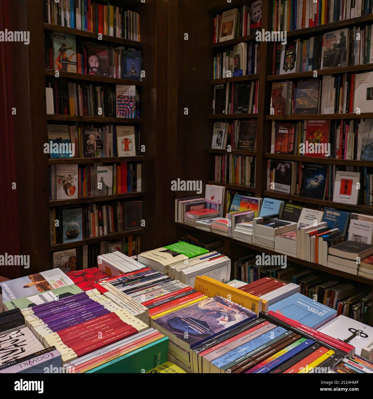 Interno di un'accogliente libreria con scaffali pieni di libri colorati, che creano un'atmosfera letteraria calda e invitante Foto Stock