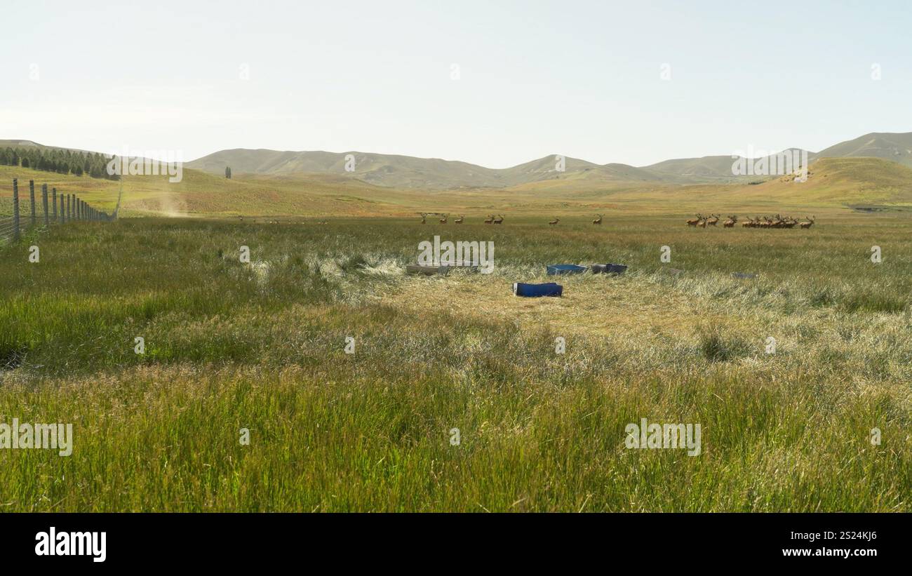 Paesaggio a Junin in Patagonia nel sud dell'Argentina Foto Stock