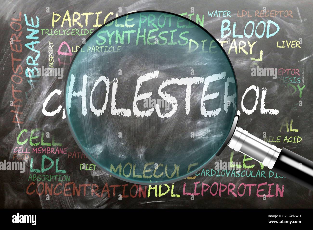 Colesterolo in fase di studio, esame - sotto stretta ispezione. Argomenti e idee più importanti strettamente correlati al colesterolo scritti su una lavagna Foto Stock