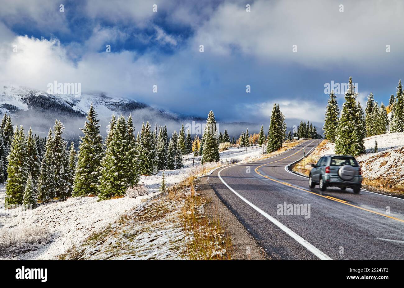 Paesaggio montano con strada e foresta di abeti rossi dopo una tempesta di neve, Million Dollar Highway, Colorado, Stati Uniti Foto Stock