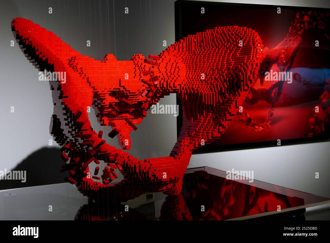 The Art of the Brick LEGO di Nathan Sawaya, Pelvic Bones, Parigi, Francia, Europa Foto Stock
