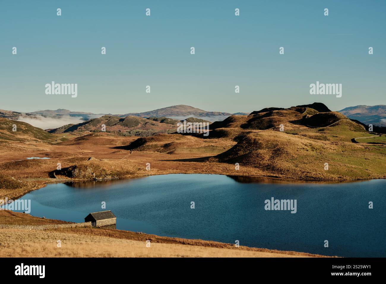 Una casa di barche si trova sul bordo dei laghi di Cregennan, o Llynnau Cregennan, vicino ad Arthog, Dolgellau e all'estuario di Mawddach nel Galles del Nord Foto Stock