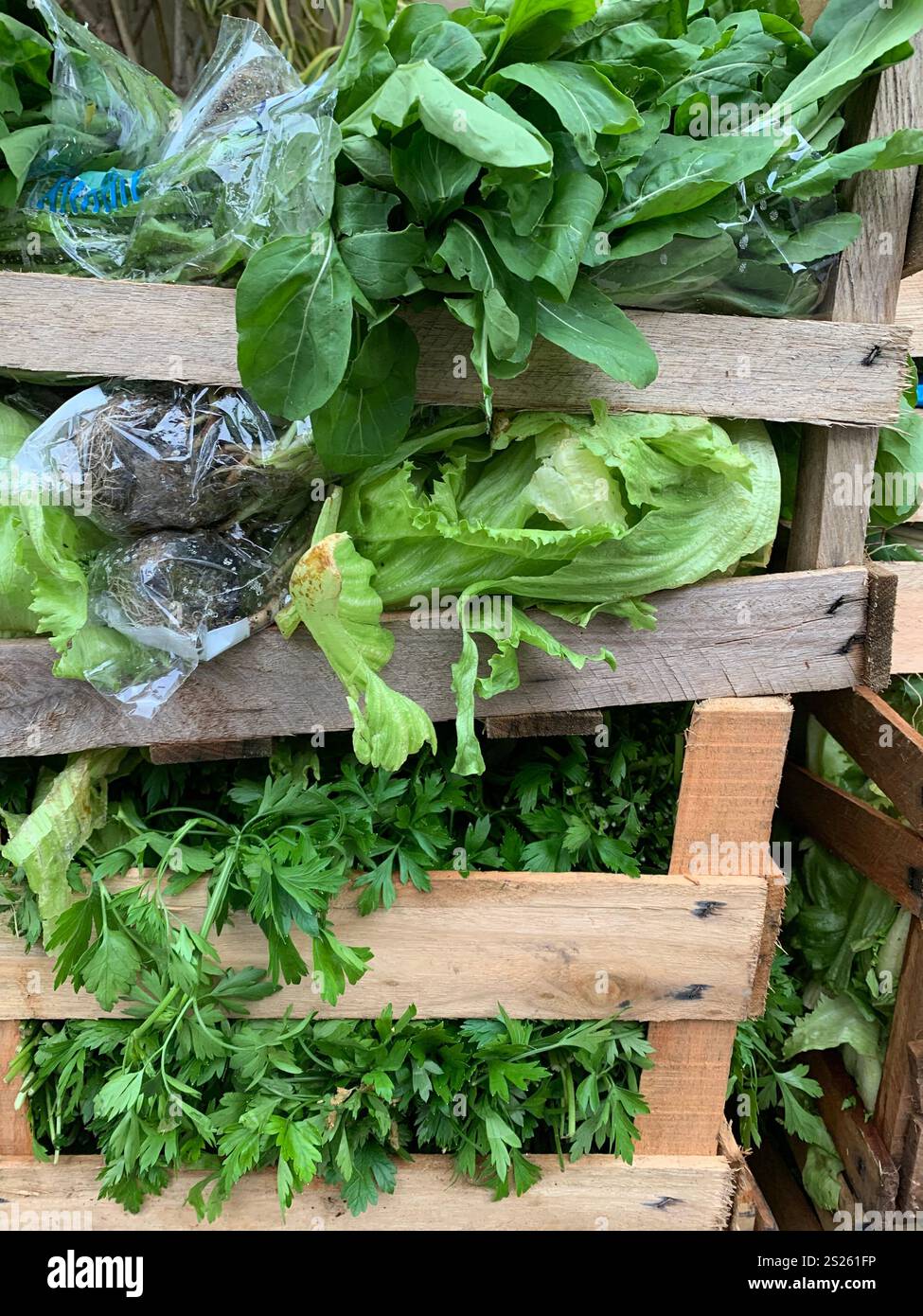 Pile di casse di legno con verdure a foglia verde Foto Stock