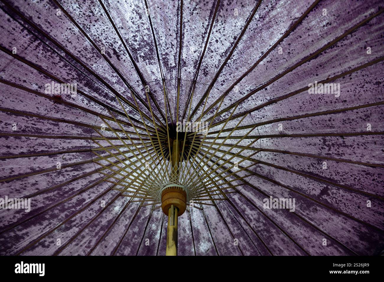 Ombrelli in un ristorante nel villaggio di Pai nel nord provinz di Mae Hong Son nel nord della Thailandia in Southeastasia. Foto Stock