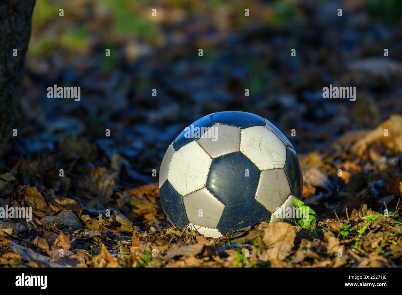 Un pallone da calcio è abbandonato tra le foglie cadute in un ambiente tranquillo all'aperto. La luce naturale esalta l'atmosfera tranquilla della scena Foto Stock