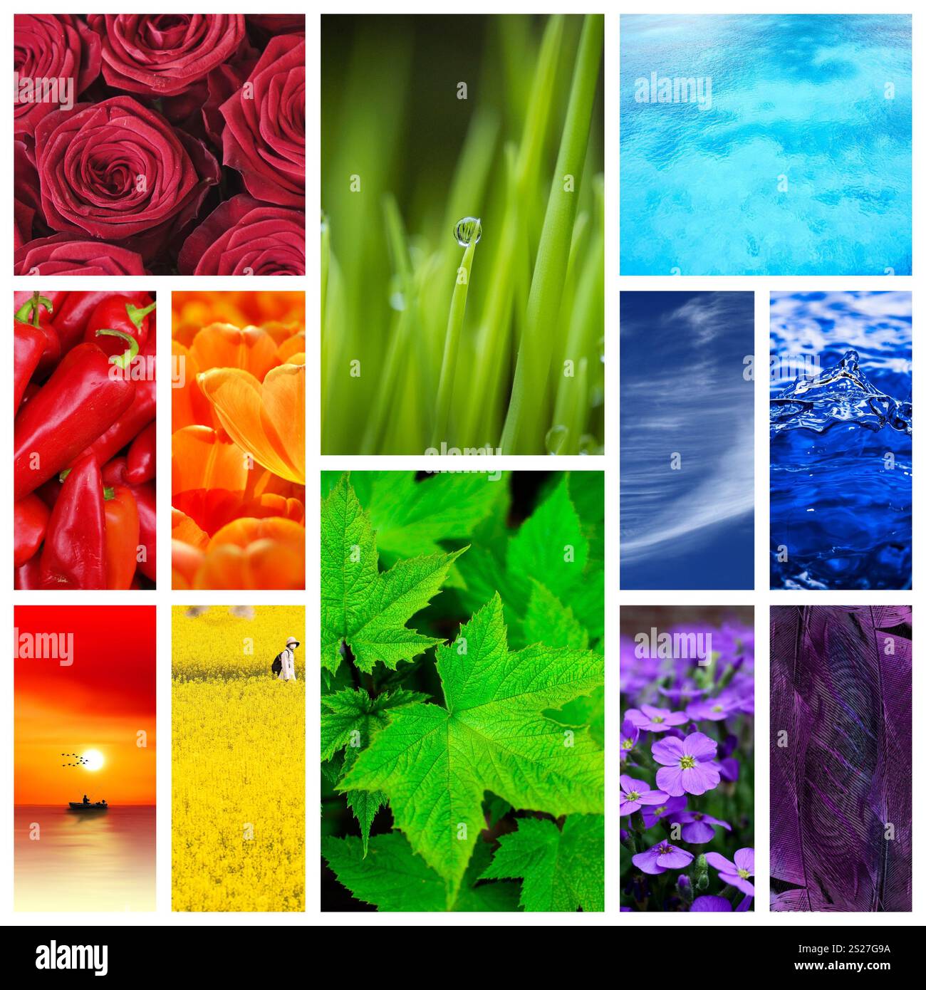 Collage naturalistico, diverse immagini di splendidi paesaggi naturali in diversi colori, concetto di ciclo di vita del pianeta Terra Foto Stock