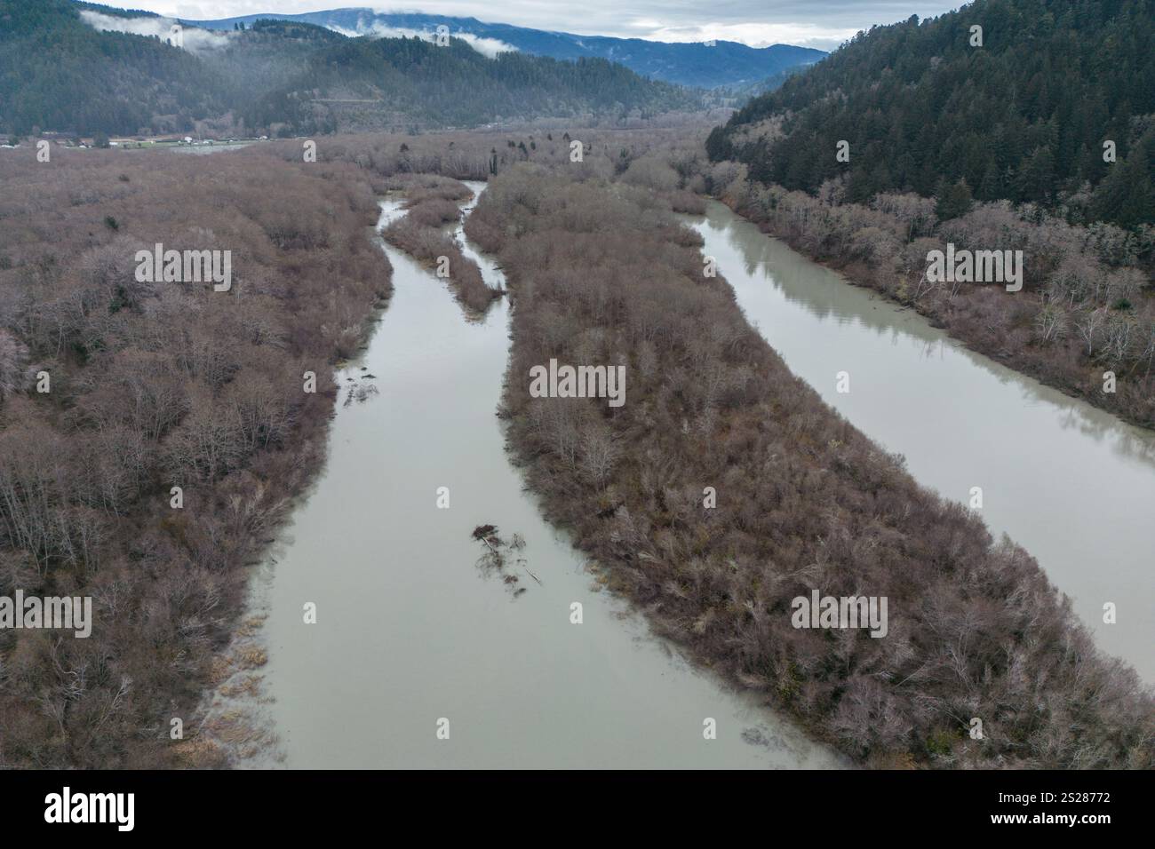 Il fiume klamath, vicino al punto in cui si unisce all'oceano Pacifico durante l'inverno, tutti gli alberi hanno lasciato cadere le loro foglie e sono senza foglie. Foto Stock